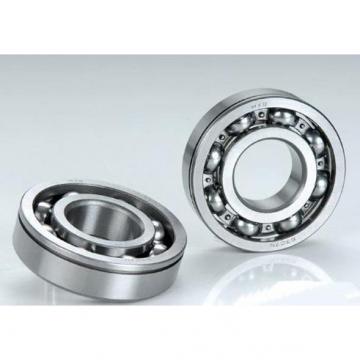 025-52 Cylindrical Roller Bearing 25x52x24mm